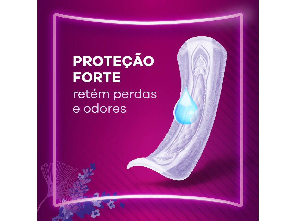 PENSOS AUSONIA DISCREET MAXI 10UN image number 1