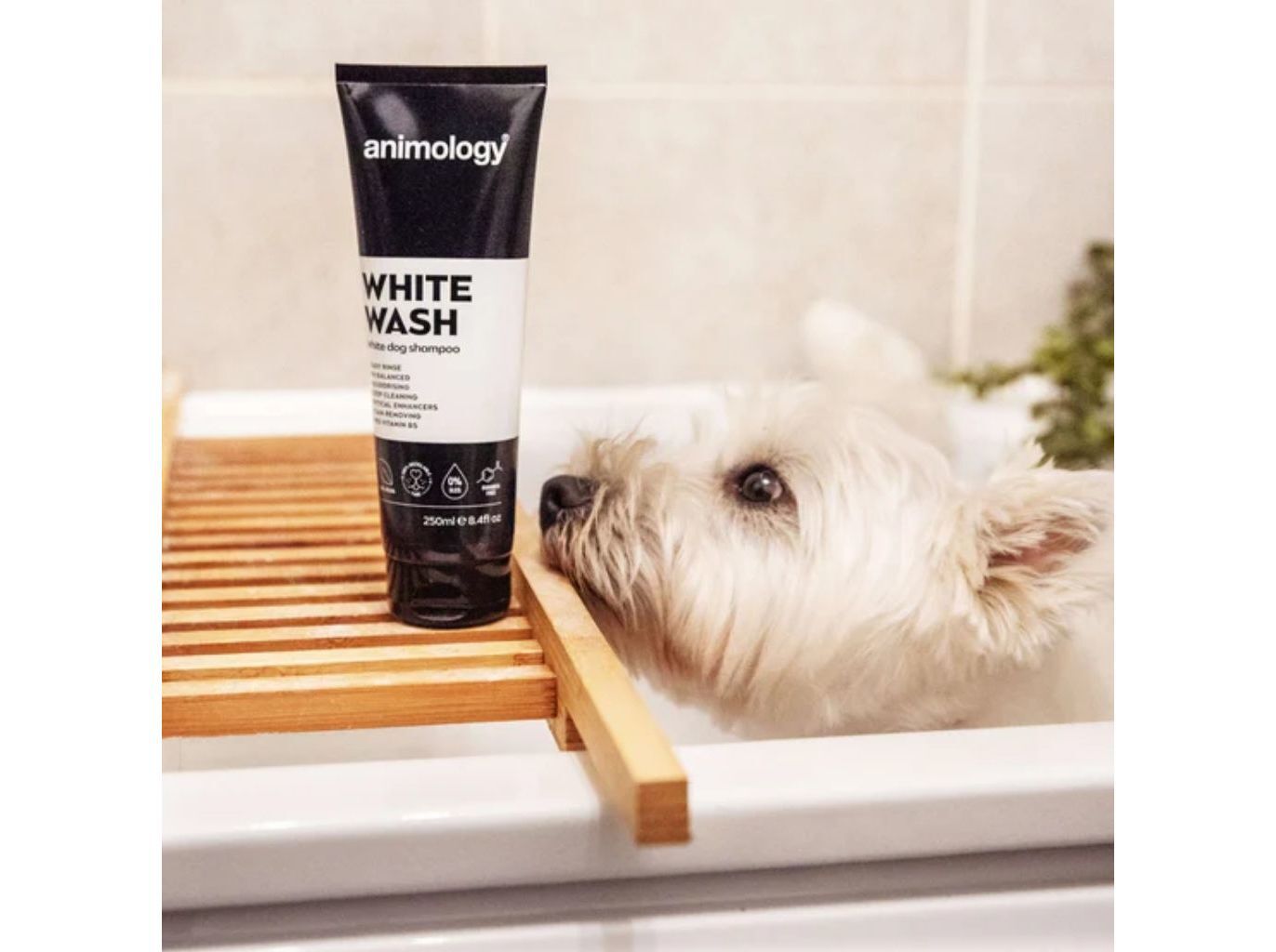 CHAMP&Ocirc; C&Atilde;O ANIMOLOGY WHITE WASH 250ML image number 1