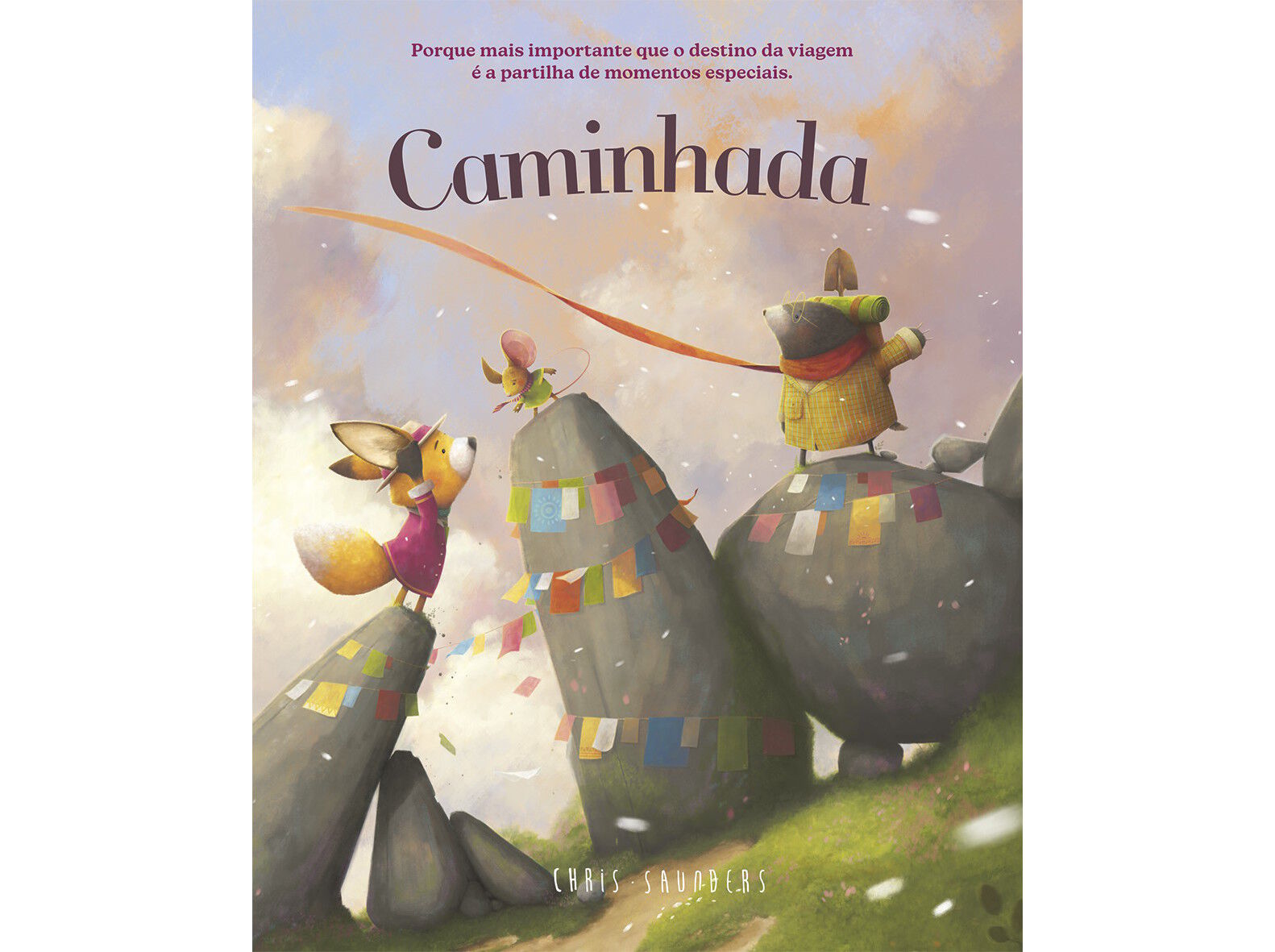 LIVRO CAMINHADA DE CHRIS SAUNDERS image number 1