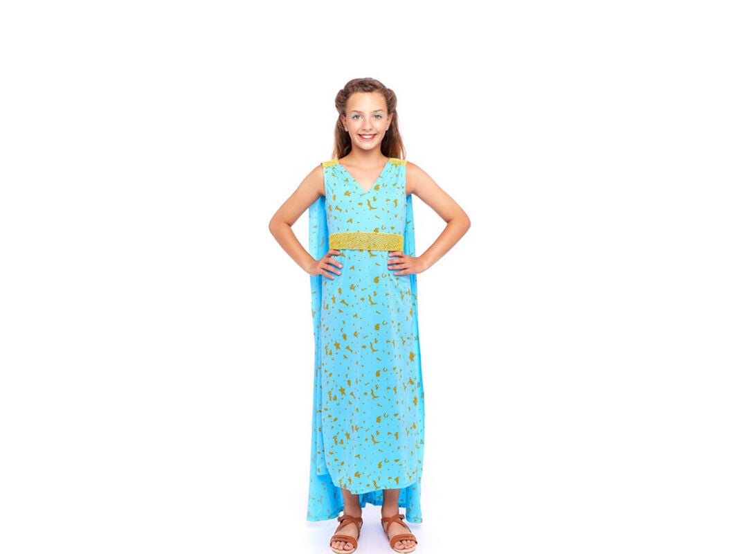 DISFARCE TOPBRANDS PRINCESA DRAG&Atilde;O 7/9 ANOS 140CM