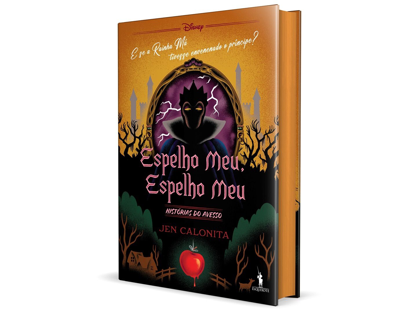 LIVRO HIST&Oacute;RIAS DO AVESSO: ESPELHO MEU ESPELHO MEU image number 0