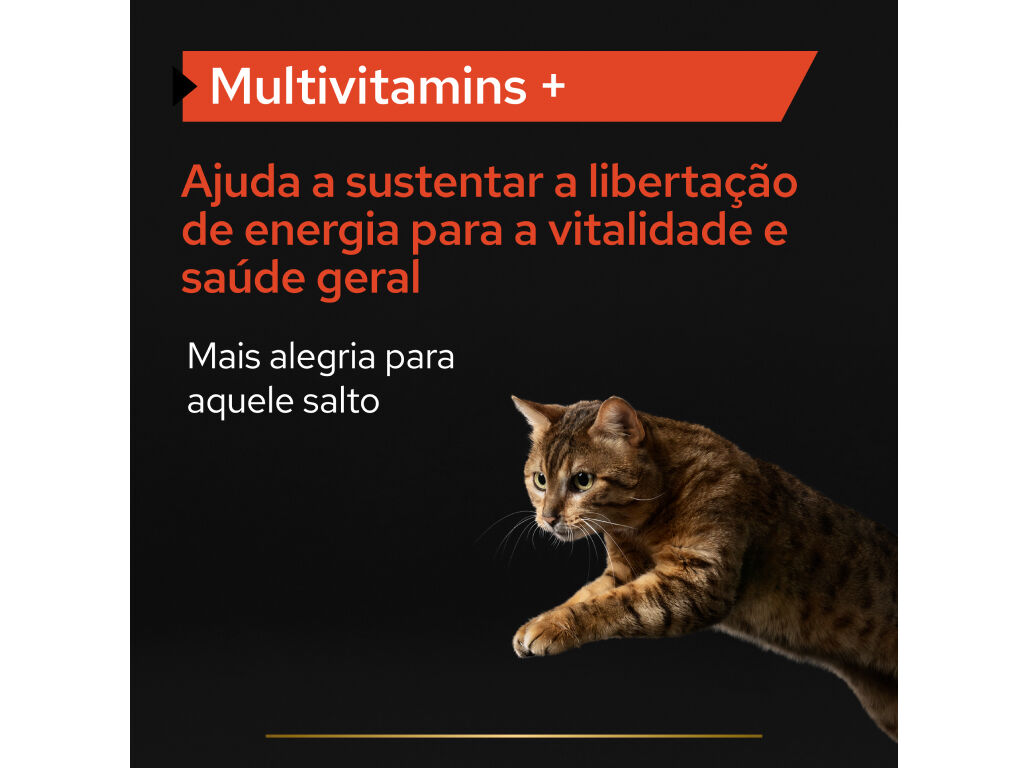 SUPLEMENTO PARA GATO PRO PLAN MULTIVITAMINAS 60G image number 1