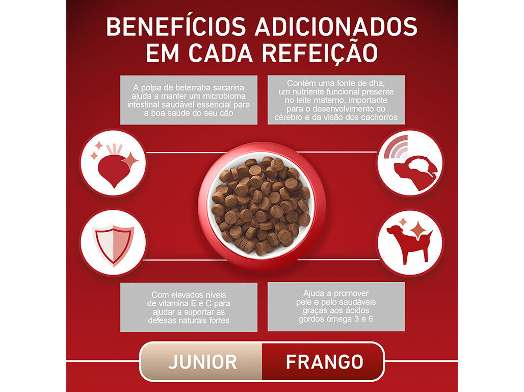 RA&Ccedil;&Atilde;O PARA C&Atilde;O PURINA ONE J&Uacute;NIOR COM FRANGO 2.5KG image number 5