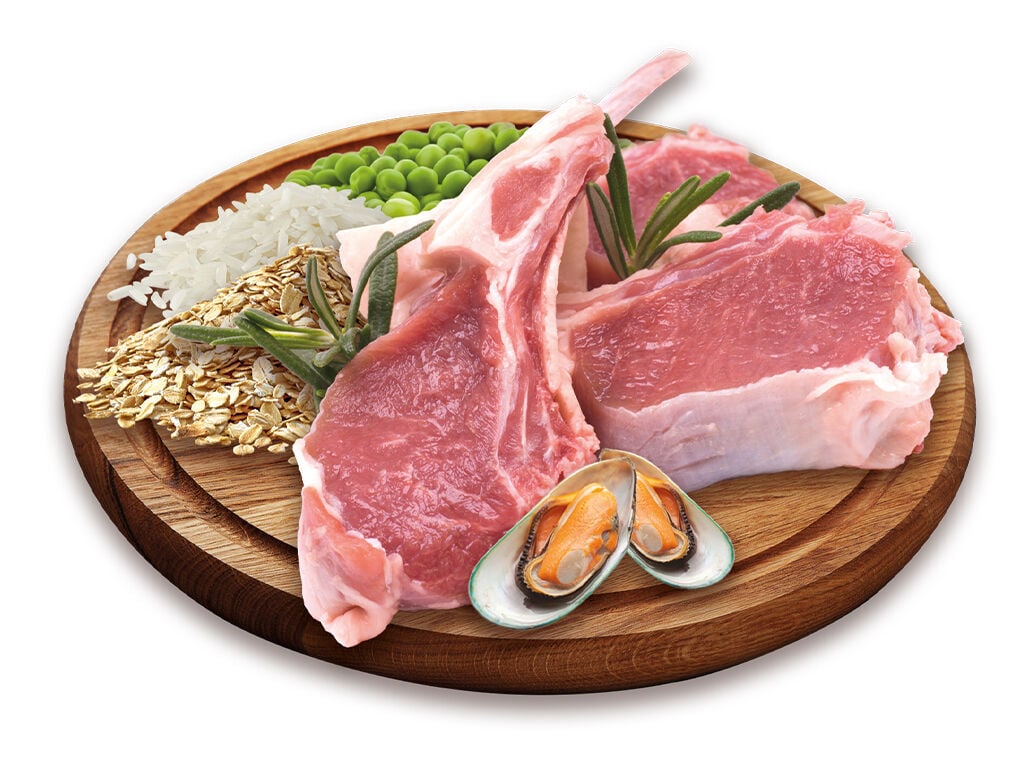 RA&Ccedil;&Atilde;O C&Atilde;O PETFIELD PREMIUM BORREGO/ARROZ 18KG image number 1