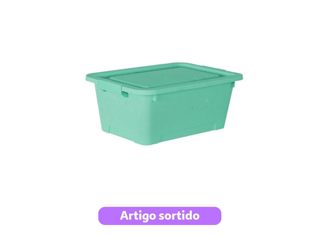 CAIXA COM TAMPA FAPIL 20L 43X31X23CM CORES SORTIDAS image number 1