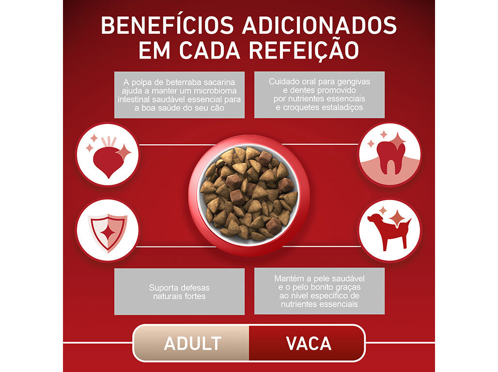 RA&Ccedil;&Atilde;O PARA C&Atilde;O PURINA ONE MINI ADULTO COM VACA 3KG image number 5