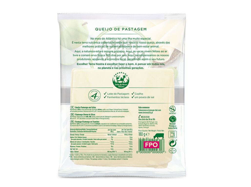 QUEIJO TERRA NOSTRA PROTE&Iacute;NA FATIAS 180G image number 0