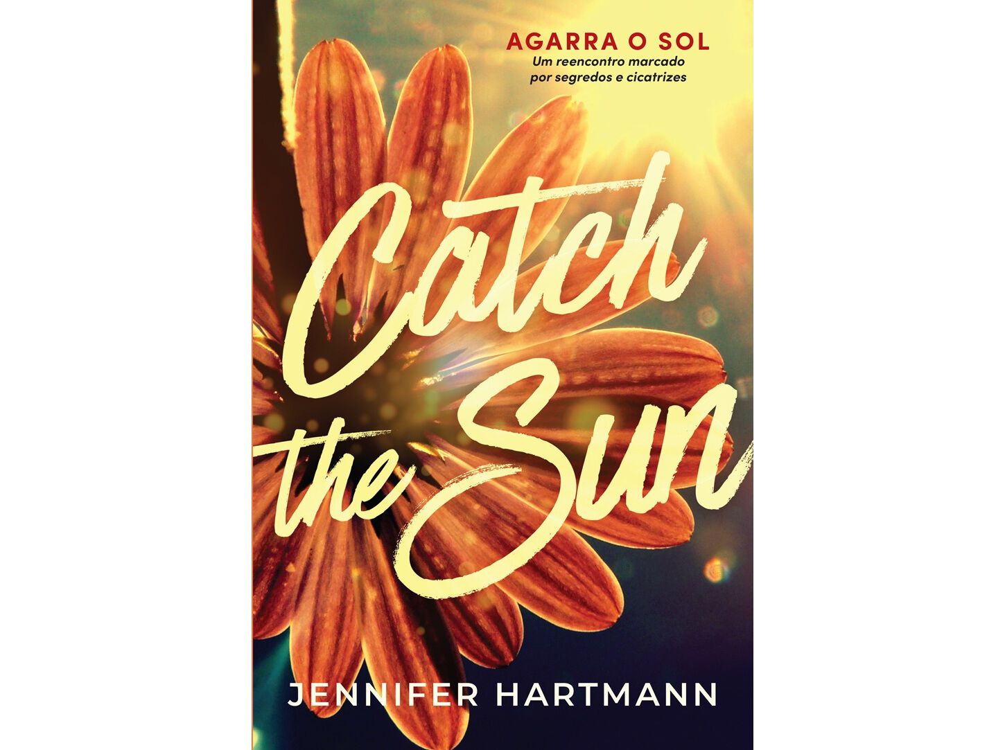 LIVRO CATCH THE SUN DE JENNIFER HARTMAN image number 0