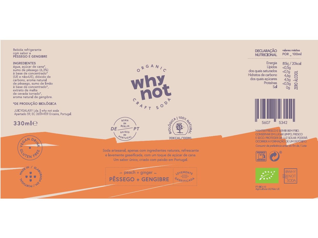 CRAFT SODA WHY NOT P&Ecirc;SSEGO E GENGIBRE 33CL image number 1