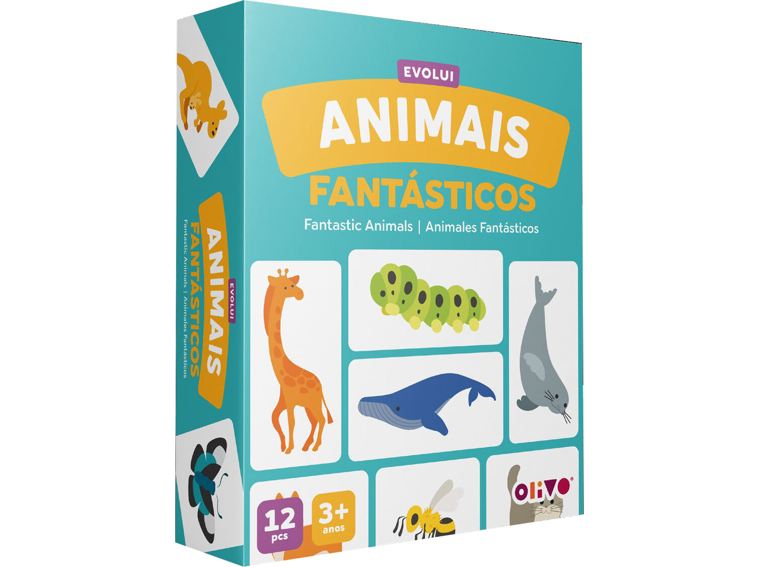 EVOLUI - ANIMAIS OLIVO