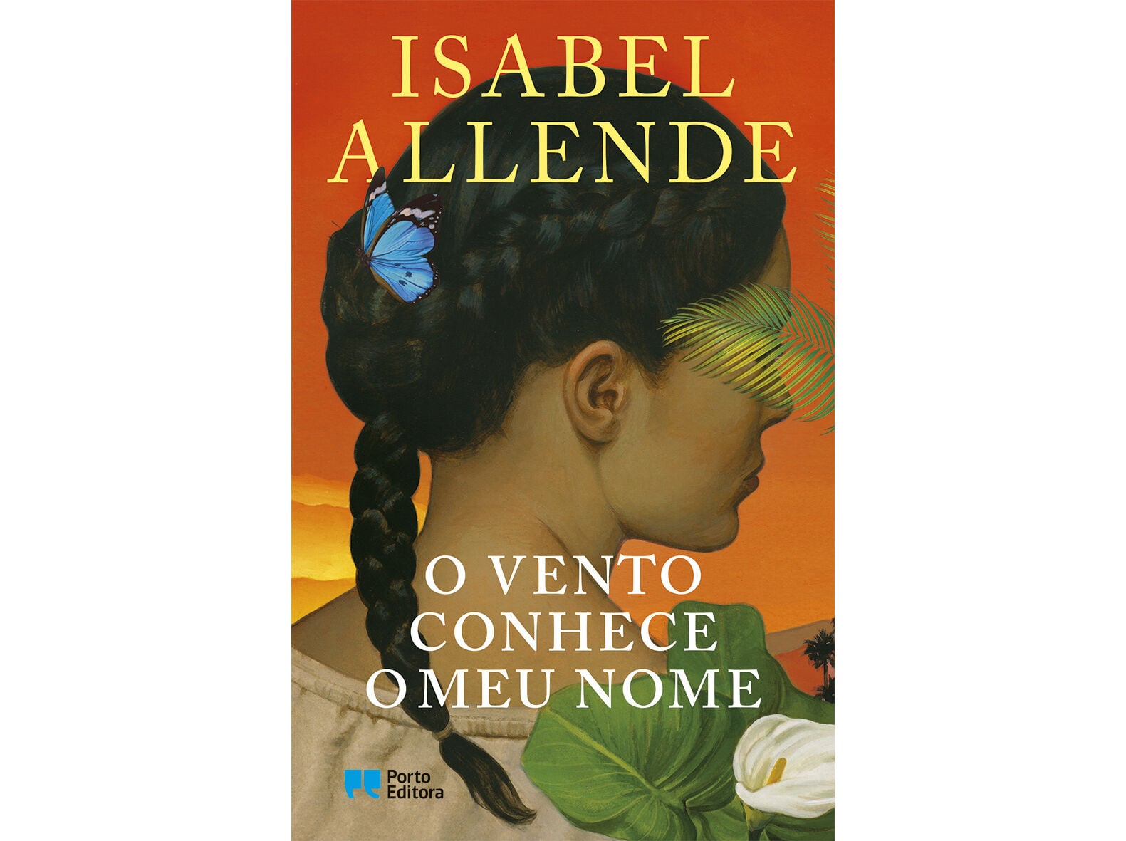 O VENTO CONHECE O MEU NOME image number 0