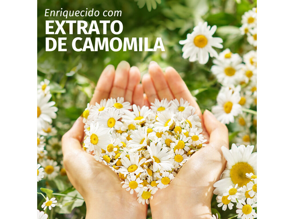 CHAMP&Ocirc; HERBAL CAMOMILA BRILHO 350ML image number 2