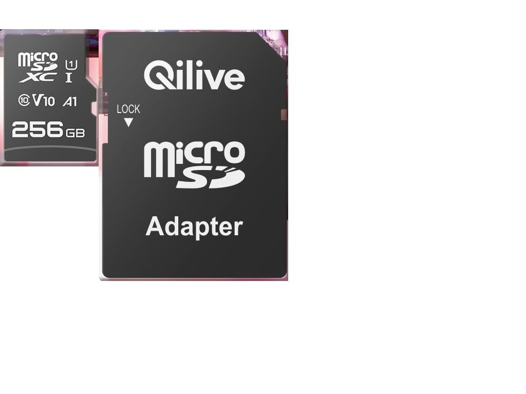 CART&Atilde;O MEM&Oacute;RIA MSD QILIVE CL.10 UHS-I U1 V10 A1 256GB image number 1