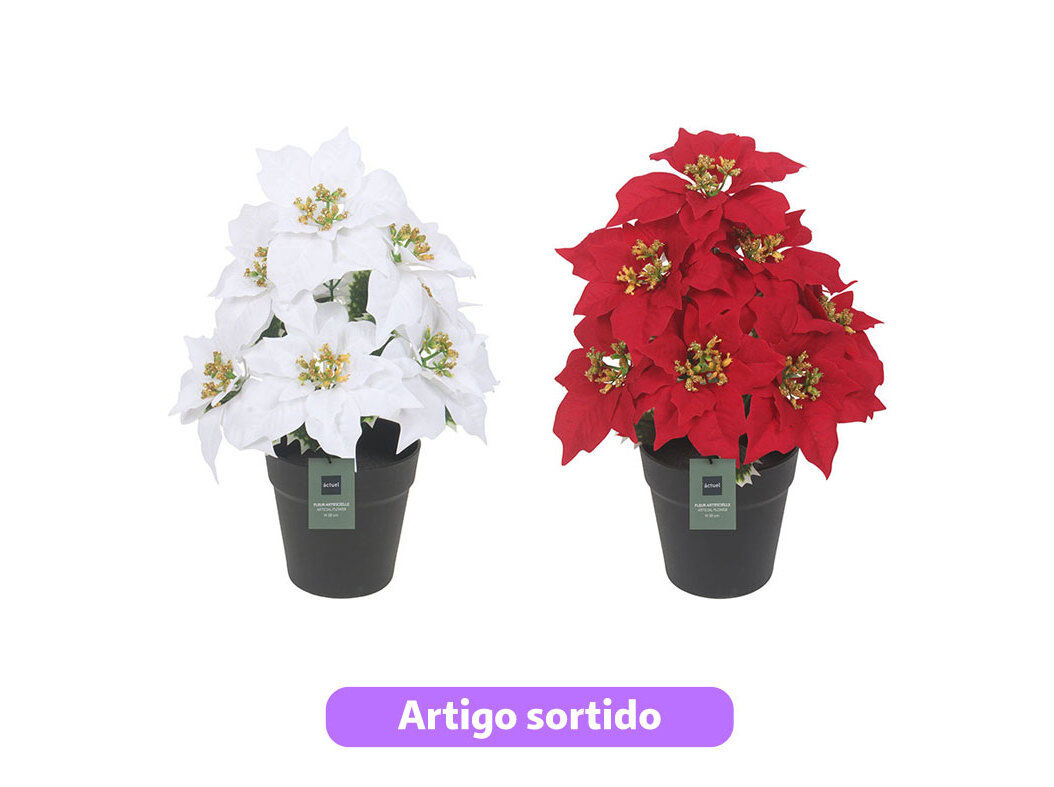 VASO COM POINS&Eacute;TIA ACTUEL VERMELHO 38CM MODELOS SORTIDOS image number 0