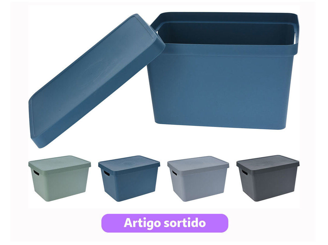 CAIXA PARA ARRUMA&Ccedil;&Atilde;O COM TAMPA 27.7X37X21.8CM CORES SORTIDAS image number 0