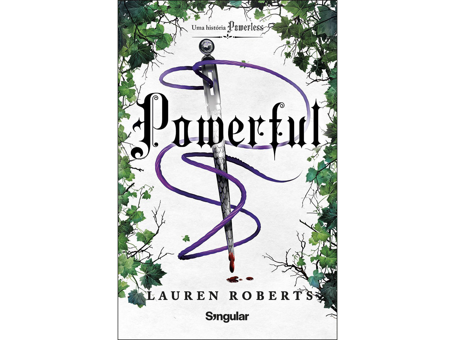 LIVRO POWERFUL image number 1