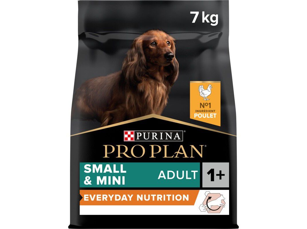 RA&Ccedil;&Atilde;O PARA C&Atilde;O ADULTO PRO PLAN SMALL&MINI FRANGO 7KG