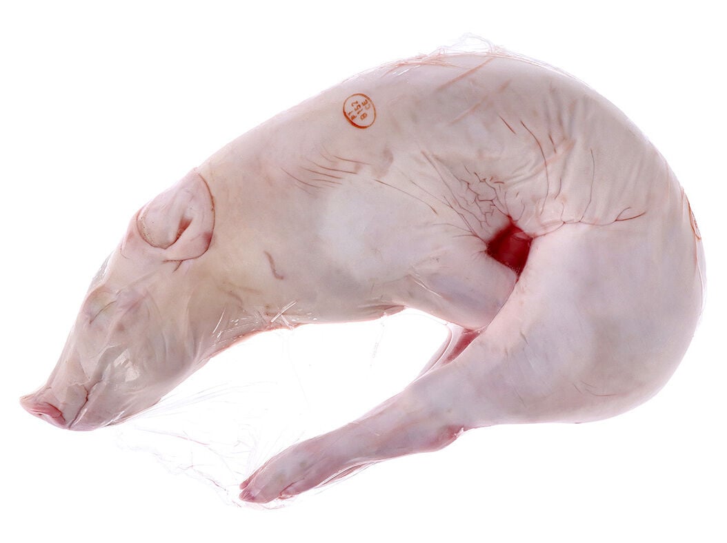 LEIT&Atilde;O INTEIRO CONGELADO KG