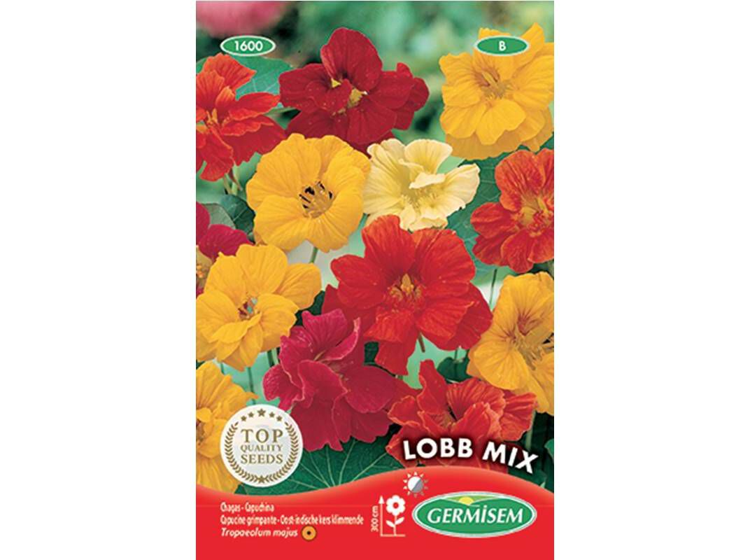 SEMENTES SOMELITE CHAGAS LOBB MIX image number 0