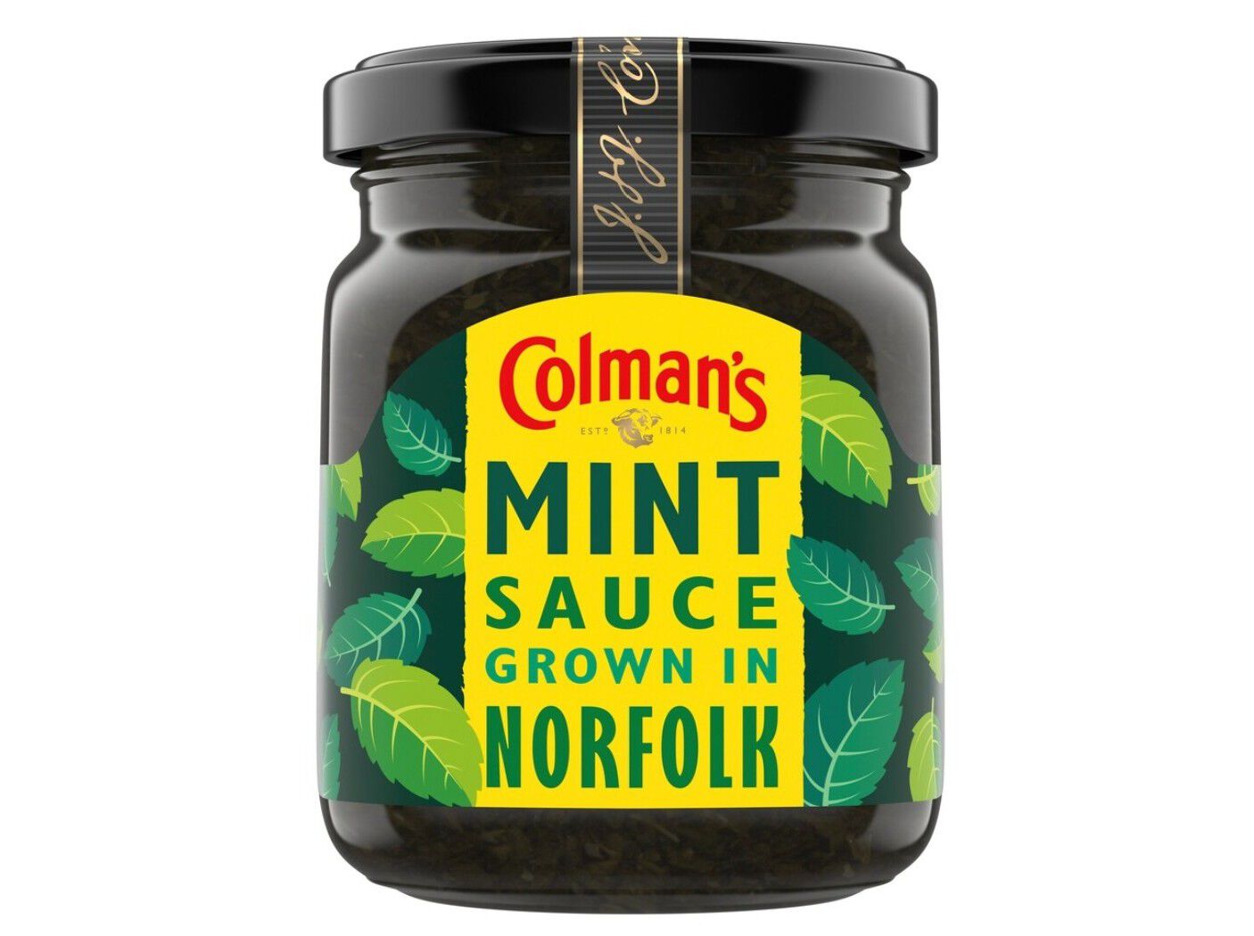 MOLHO COLMAN'S MENTA 165G