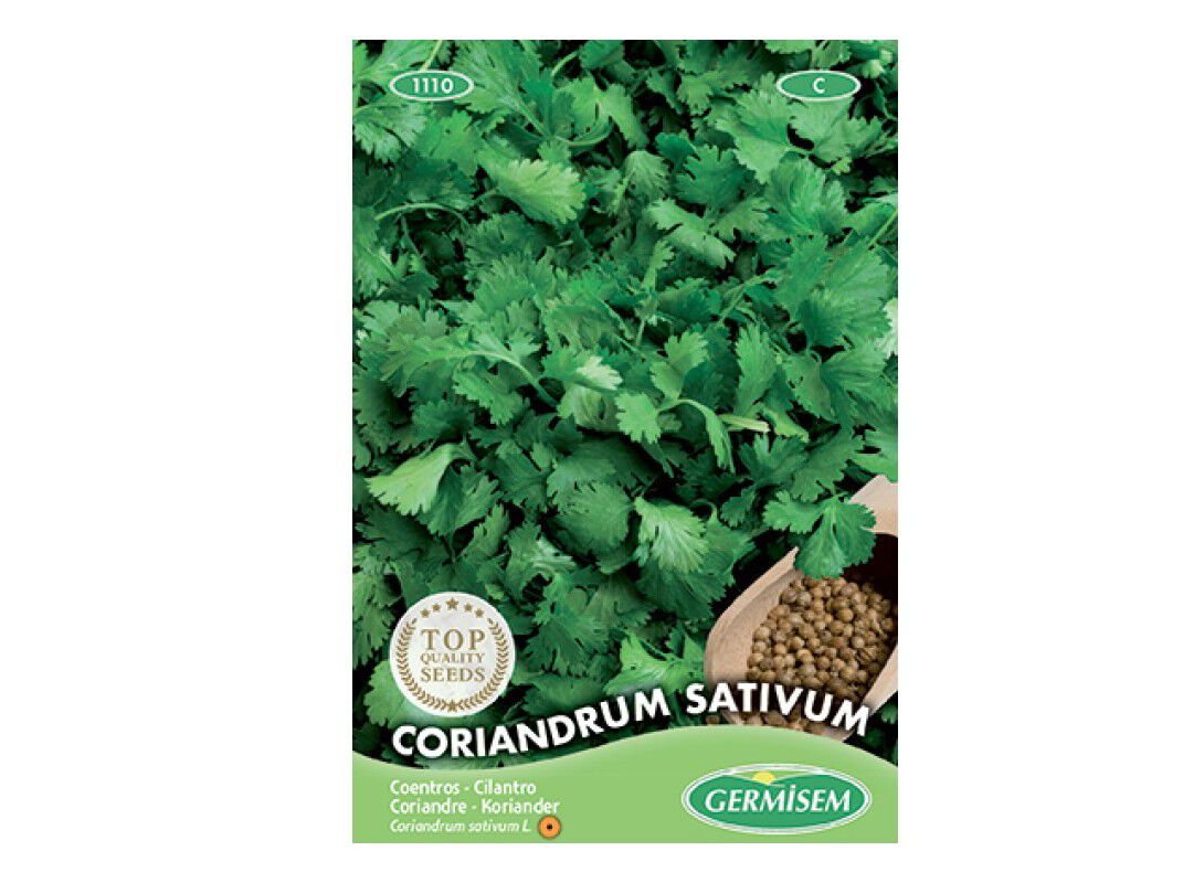 SEMENTES SOMELITE COENTROS