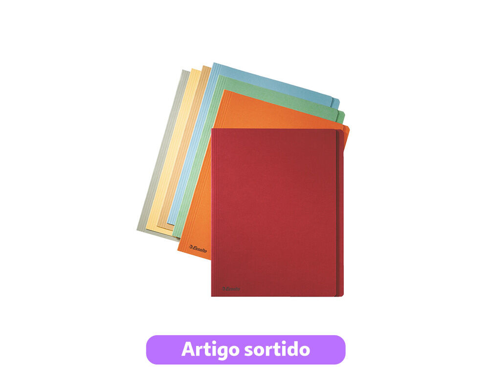 CAPA SIMPLES ESSELTE AZUL 275G