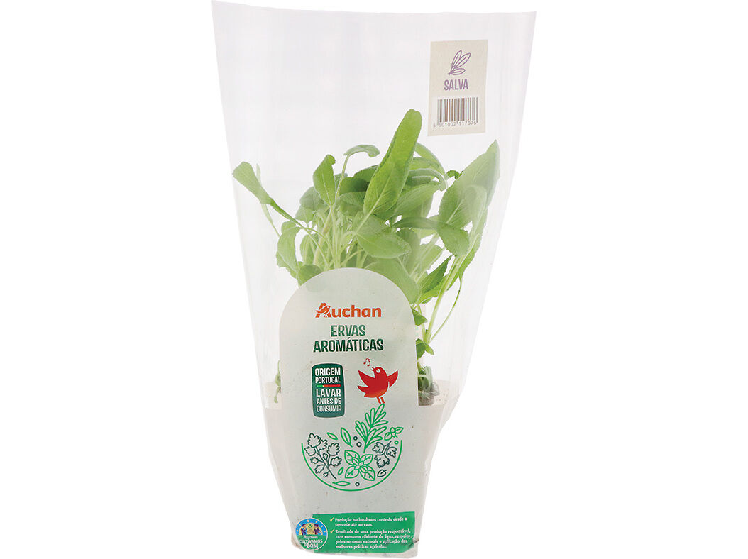 SALVA VASO AUCHAN CULTIVAMOS O BOM