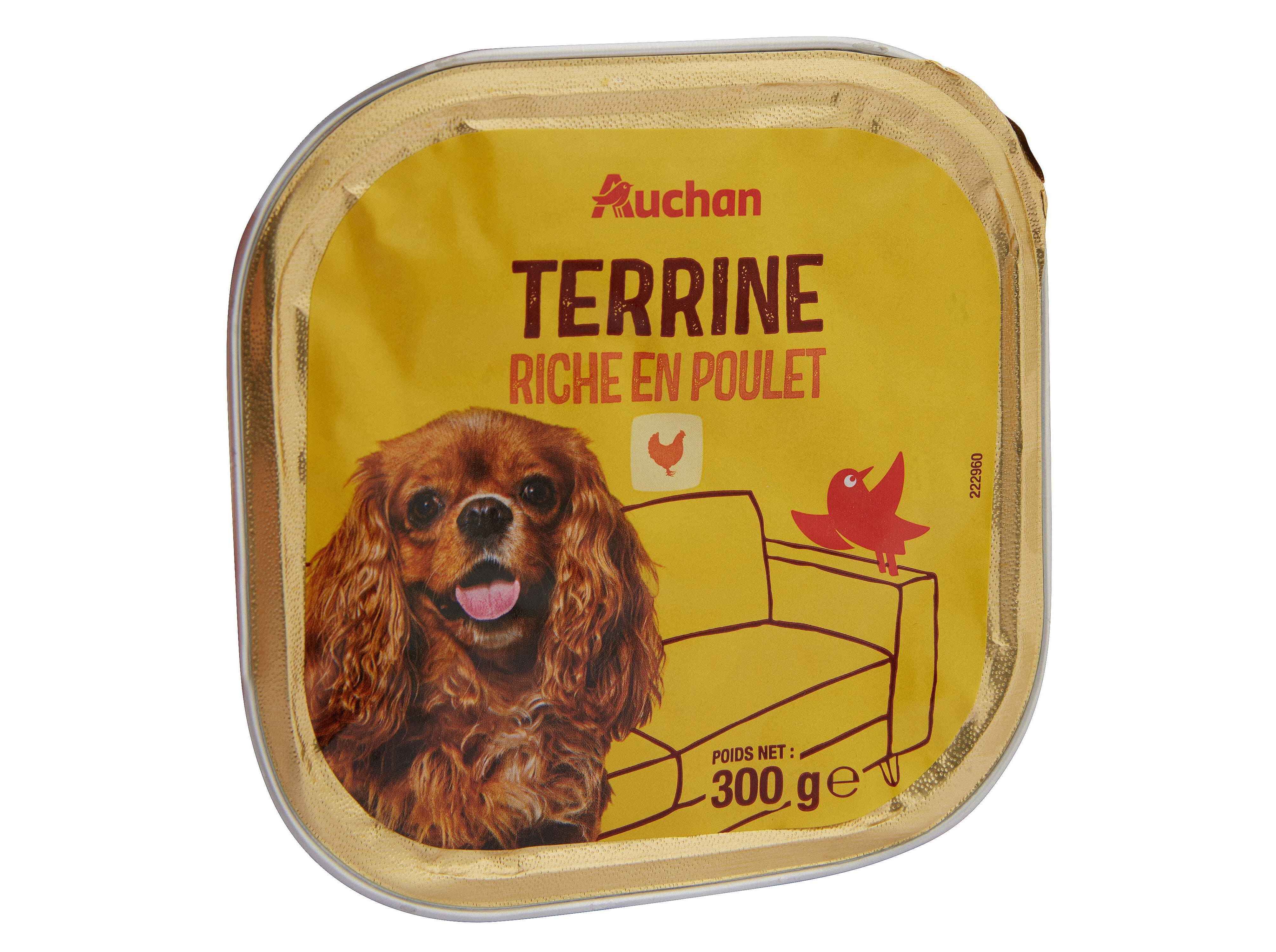 COMIDA H&Uacute;MIDA PARA C&Atilde;O AUCHAN TERRINA RICO EM FRANGO 300G image number 1