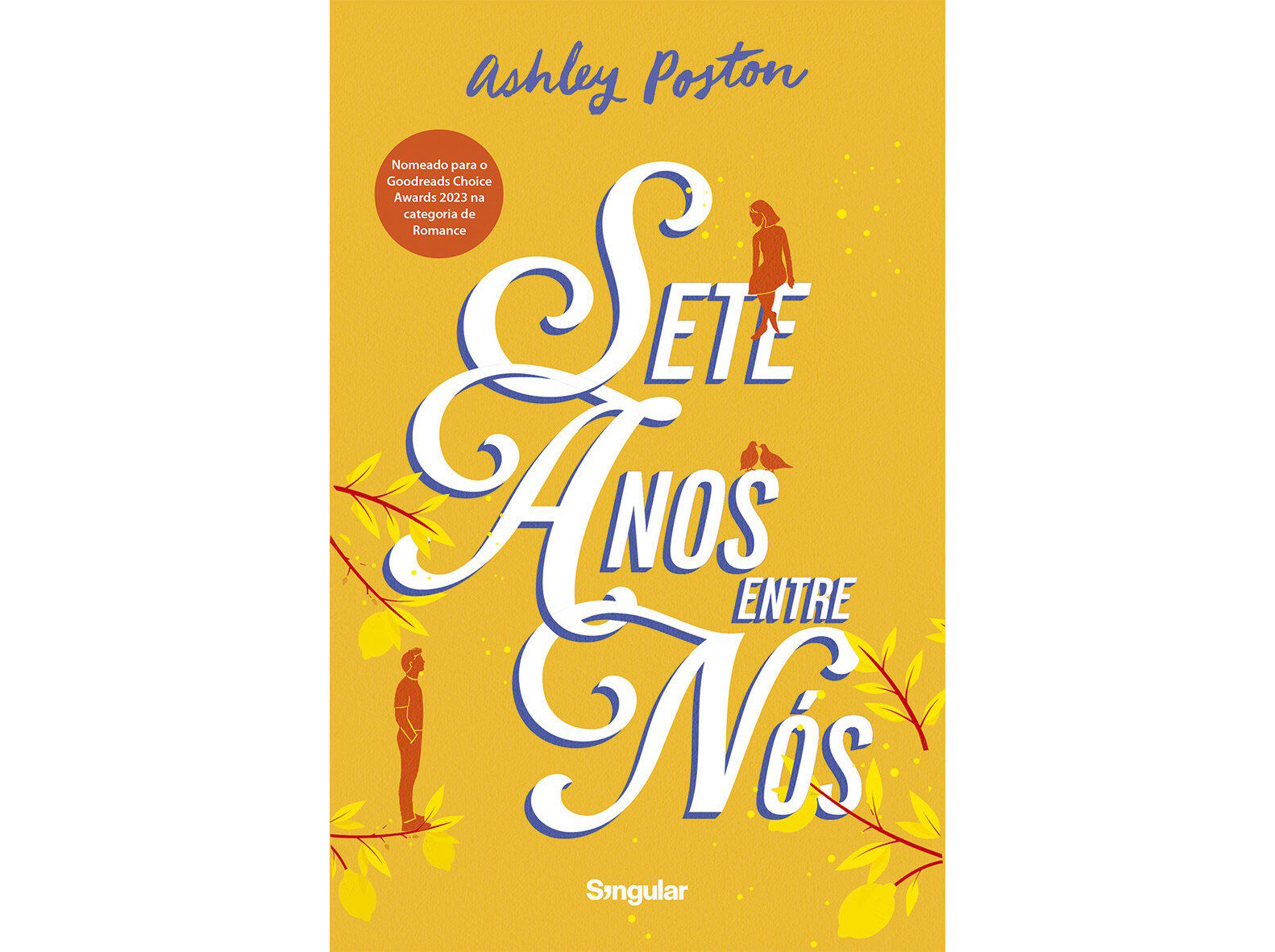 LIVRO SETE ANOS ENTRE N&Oacute;S image number 1