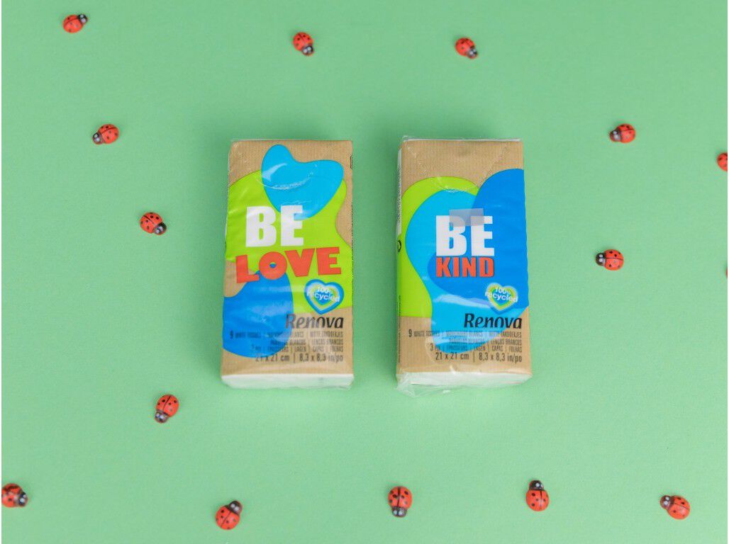 LEN&Ccedil;OS RENOVA DE PAPEL 100% RECICLADO 10UN image number 2