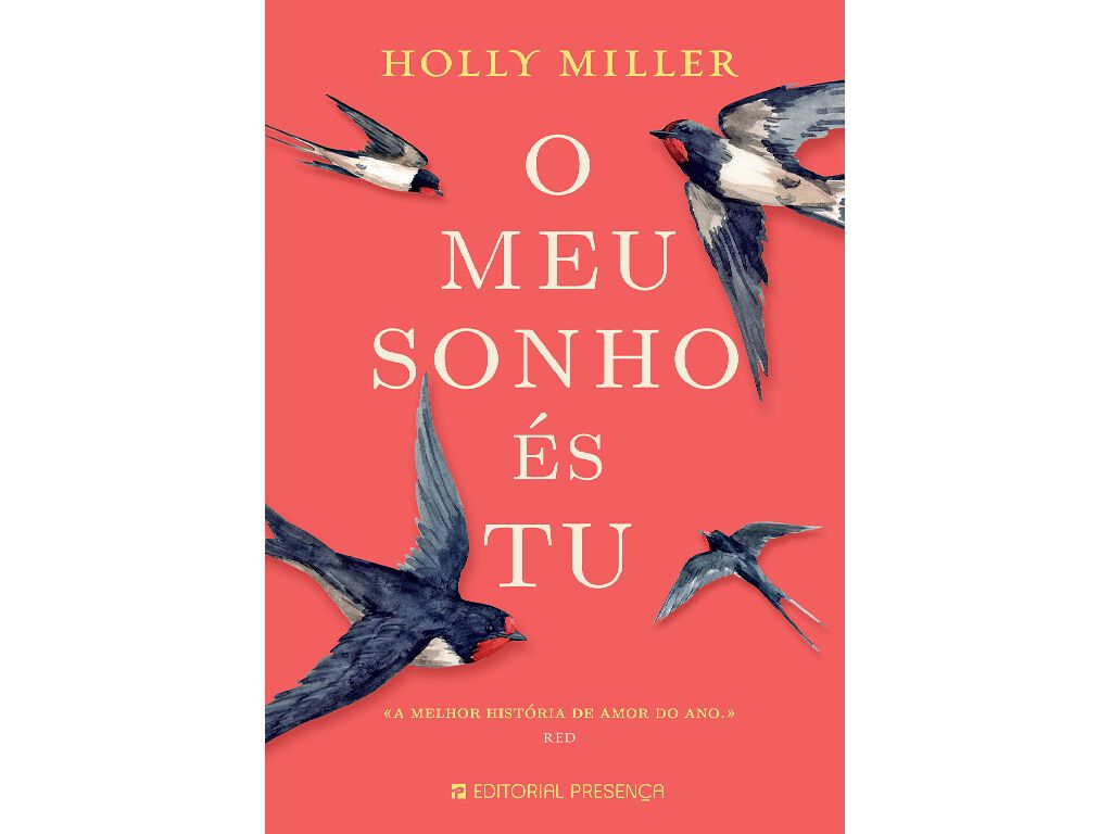 LIVRO O MEU SONHO &Eacute;S TU DE HOLLY MILLER image number 0