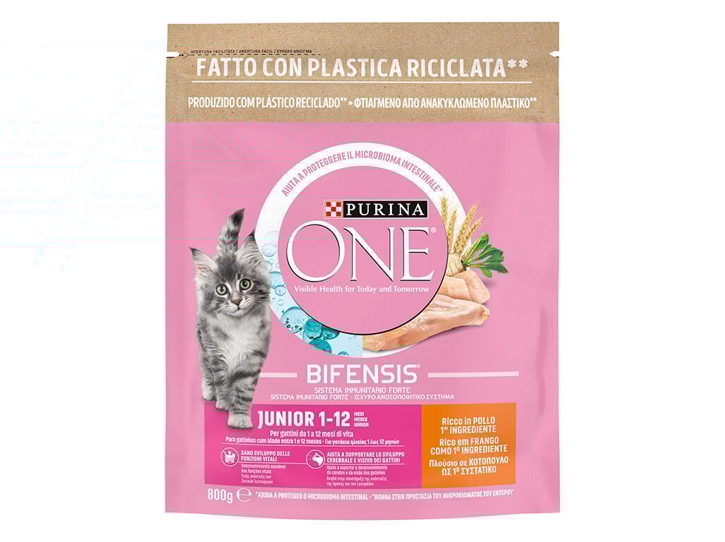 RA&Ccedil;&Atilde;O PARA GATO PURINA ONE J&Uacute;NIOR COM FRANGO E ARROZ 800G image number 1