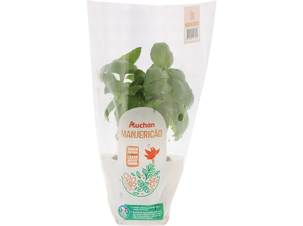 MANJERIC&Atilde;O VASO AUCHAN CULTIVAMOS O BOM image number 0