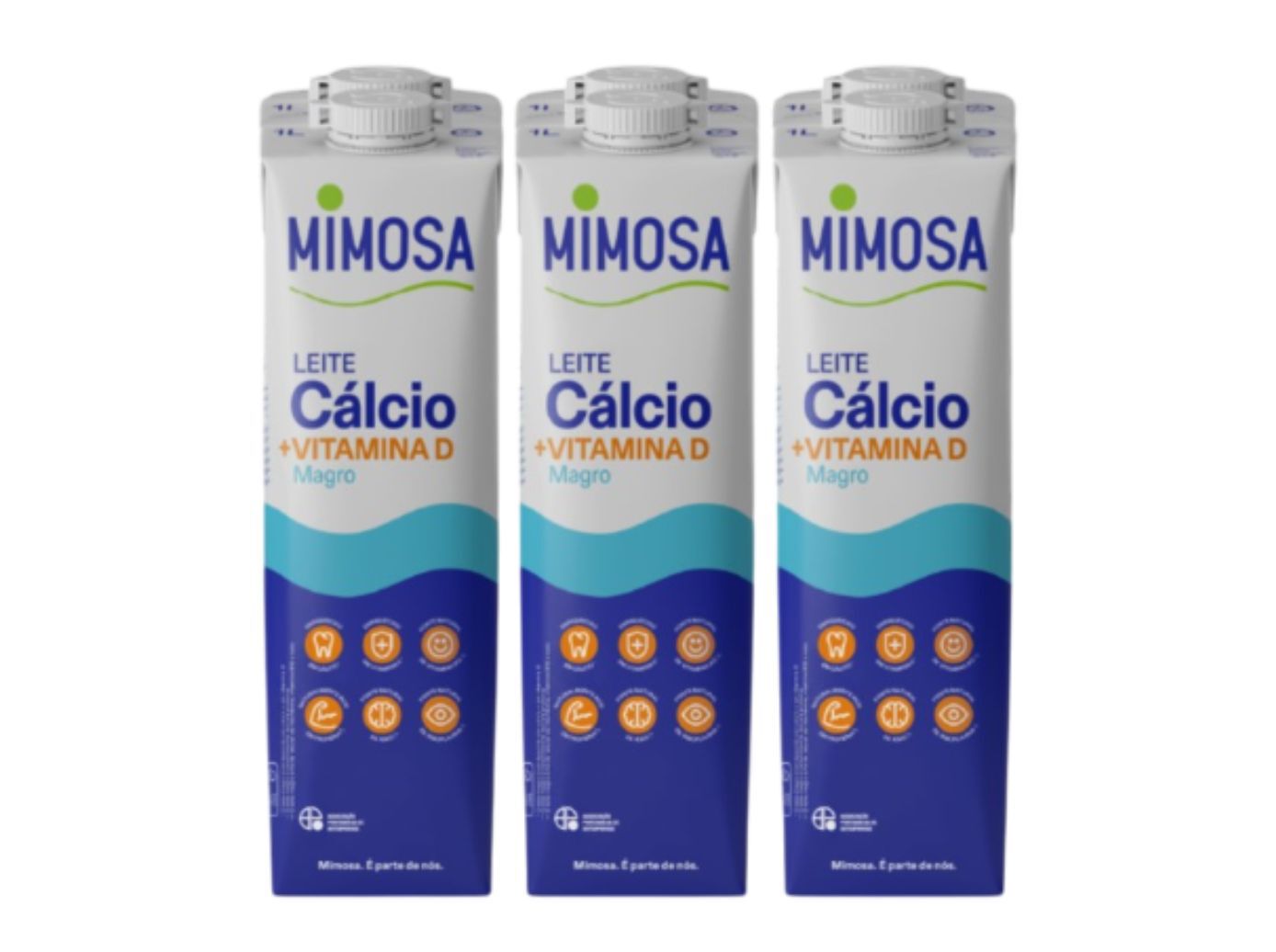 IOGURTE SEM LACTOSE MIMOSA CALCIO MAGRO 6X1L image number 1