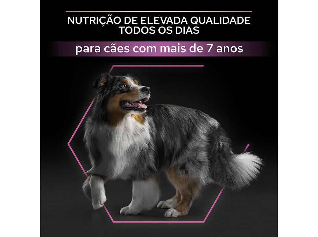 RA&Atilde;&Atilde;O C&Atilde;O PRO PLAN MEDIUM&LARGE 7+ FRANGO 3KG* image number 2