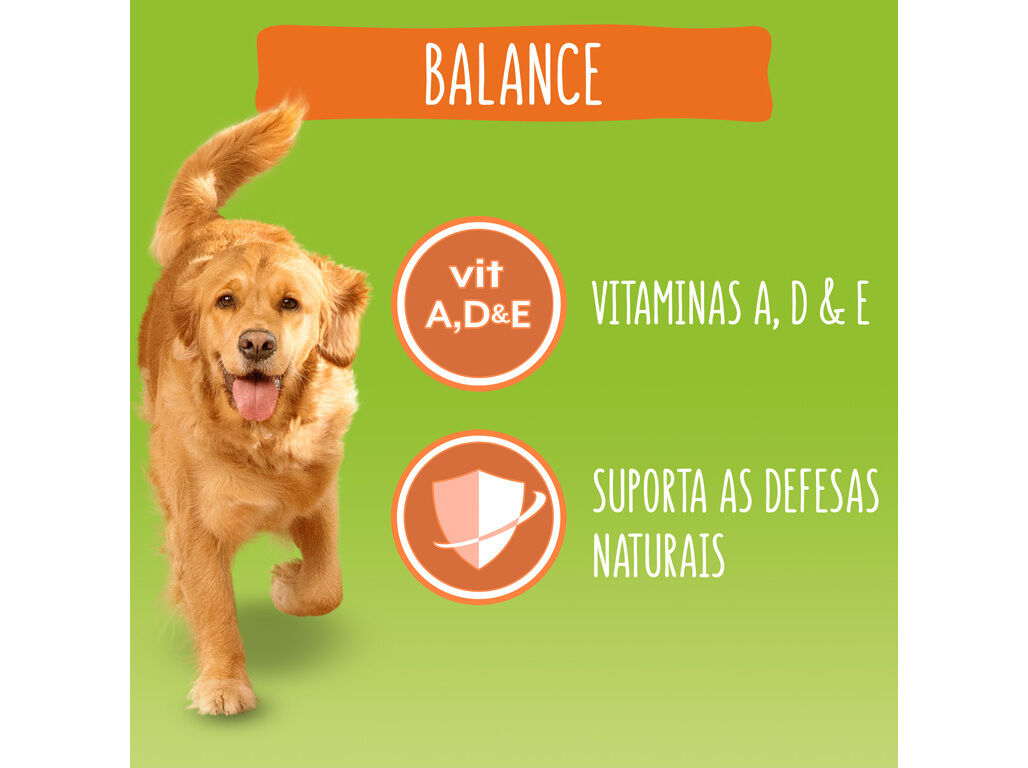 RA&Ccedil;&Atilde;O PARA C&Atilde;O FRISKIES BALANCE COM FRANGO 1.5KG image number 3