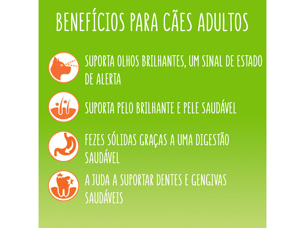 RA&Ccedil;&Atilde;O PARA C&Atilde;O FRISKIES BALANCE 9KG image number 2