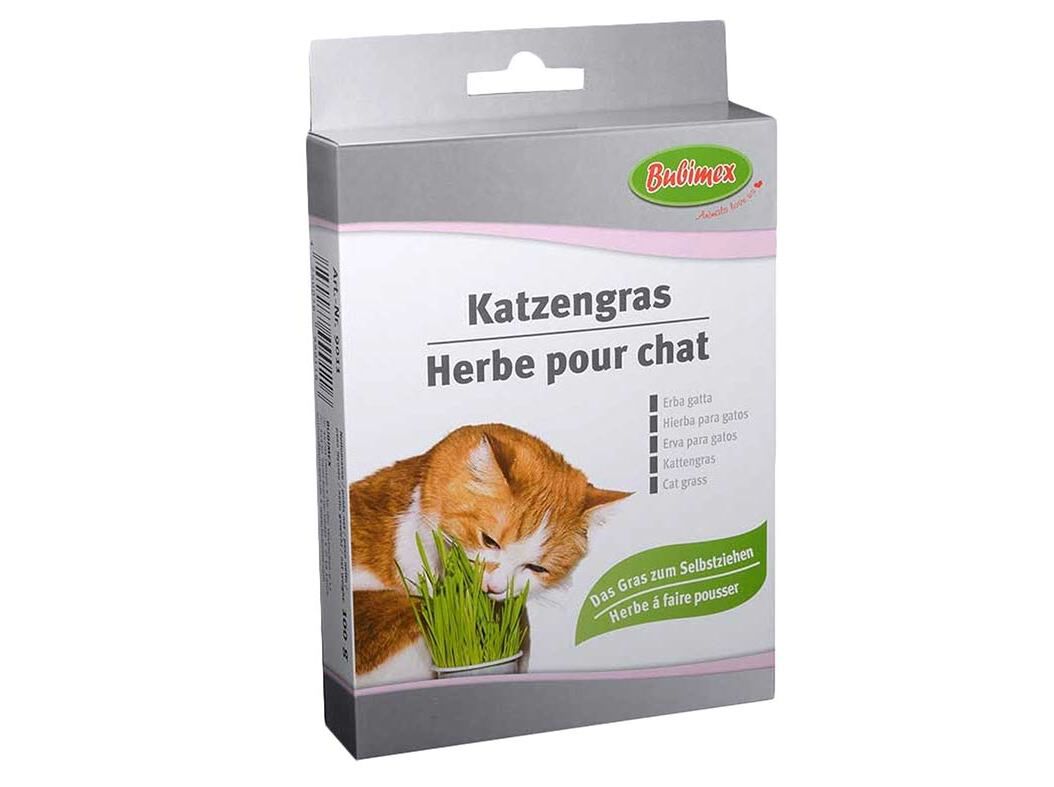 ERVA PARA GATOS BUBIMEX 100G