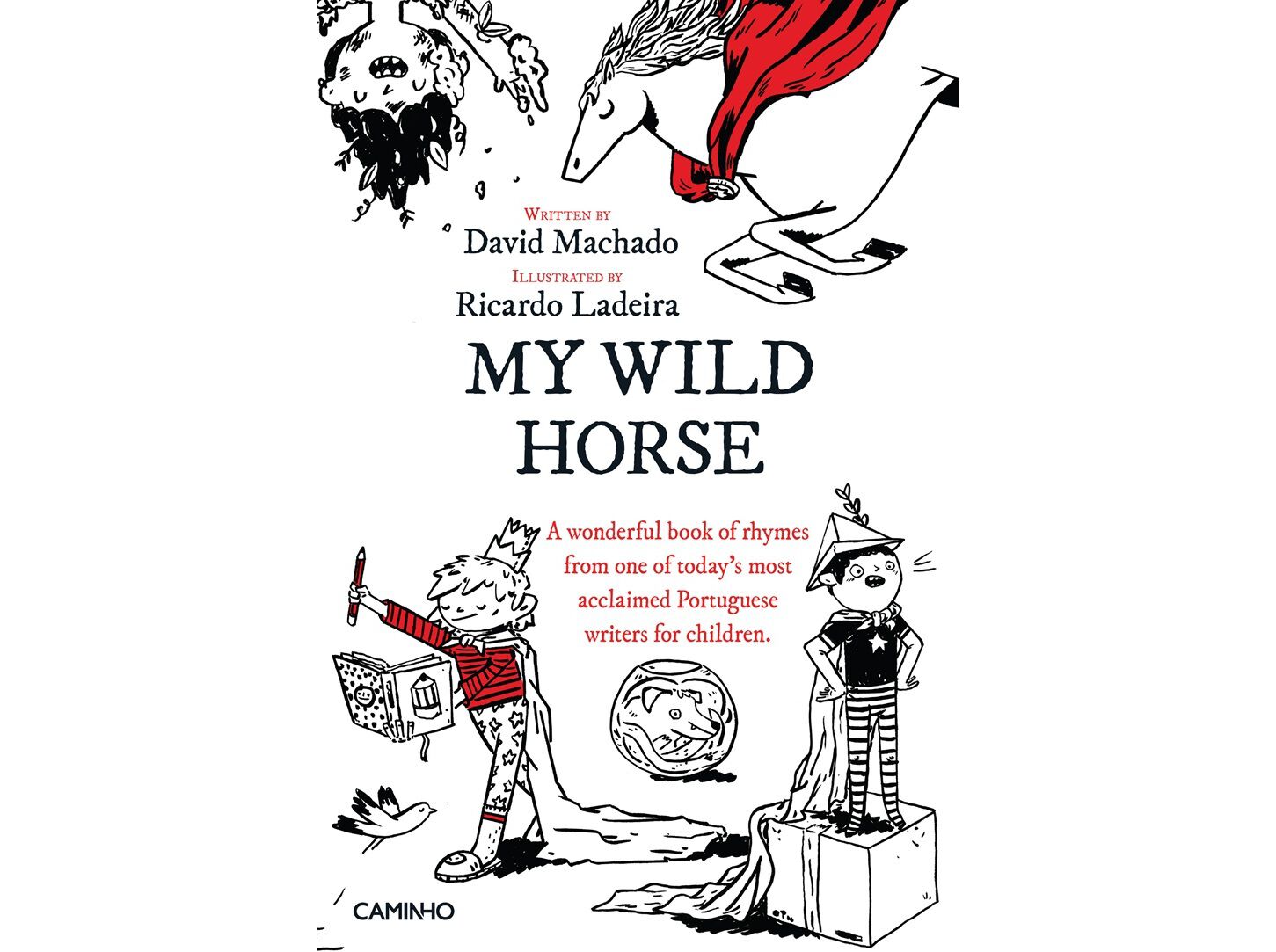 LIVRO MY WILD HORSE image number 0