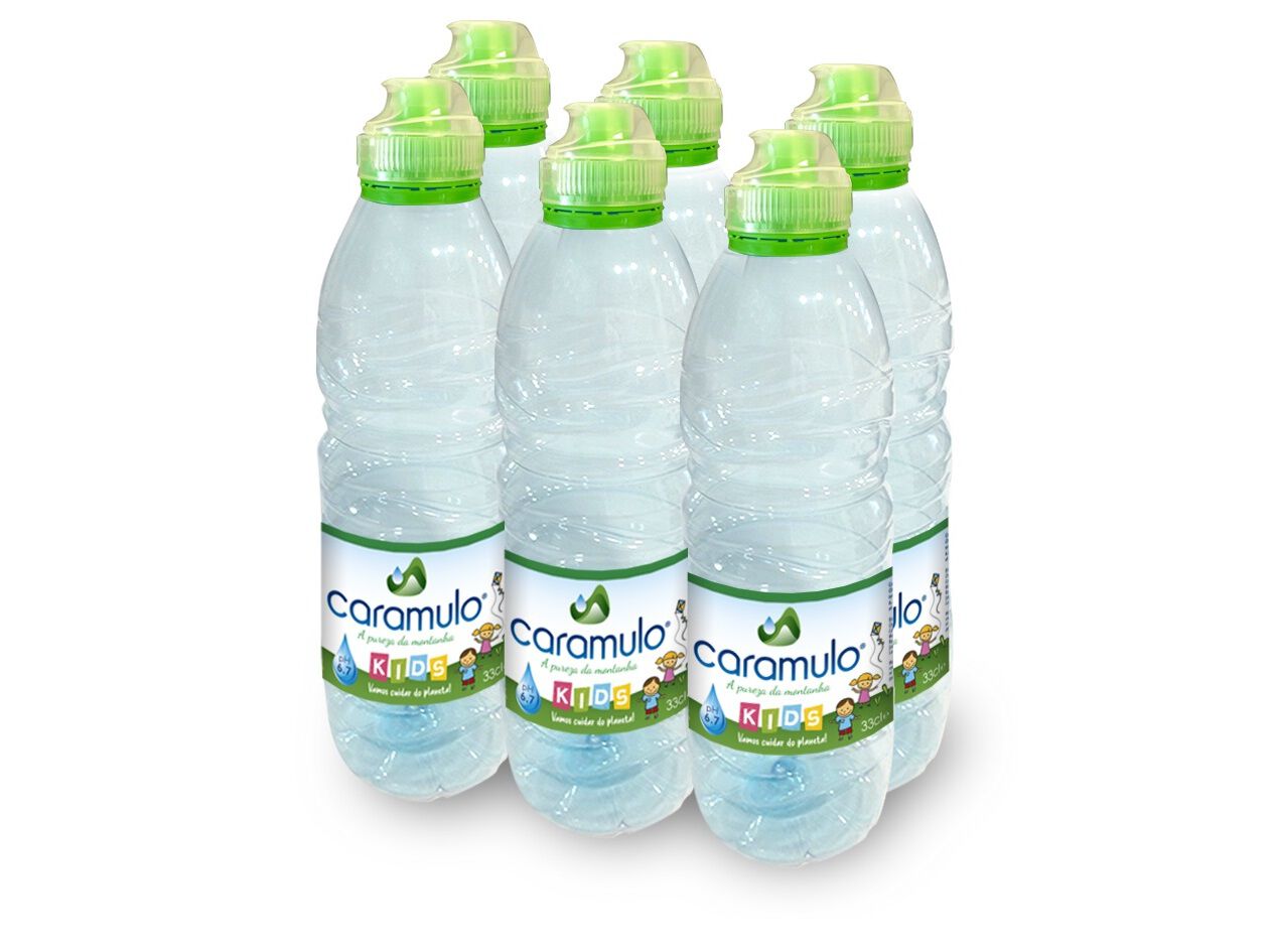 &Aacute;GUA NASCENTE CARAMULO KIDS 6X0.33 L image number 0