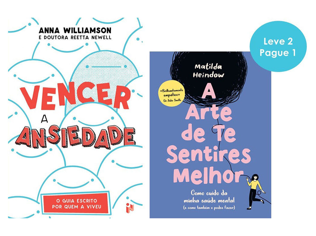 LIVRO VENCER ANSIED ARTE SENT.MELH