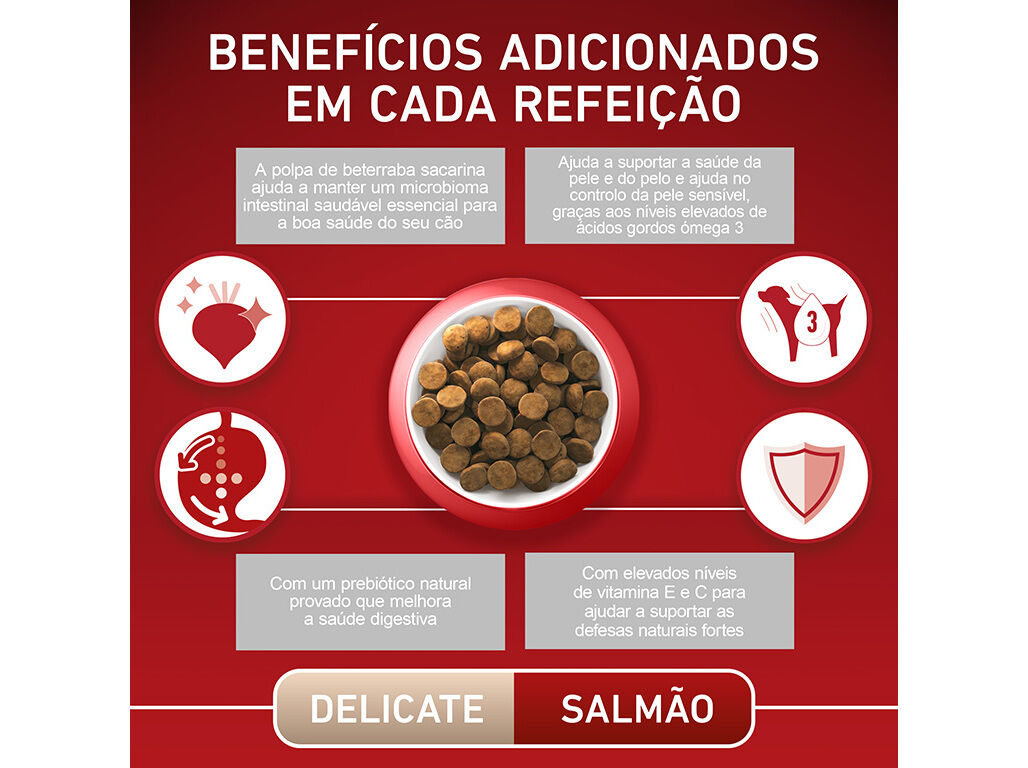 RA&Ccedil;&Atilde;O PARA C&Atilde;O PURINA ONE DELICATE RA&Ccedil;A M&Eacute;DIO E MAXI COM SALM&Atilde;O E ARROZ 2.5KG image number 5