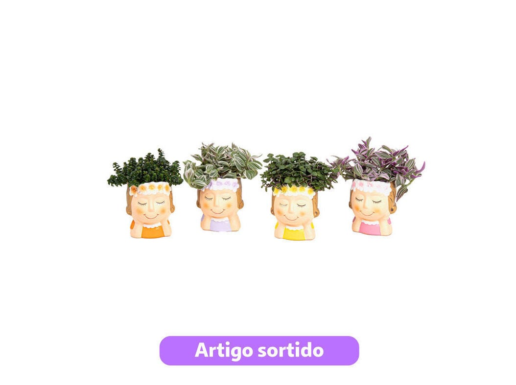 MINI PLANTAS VERDES MIX VASO DA M&Atilde;E VASO 6 MODELOS SORTIDOS