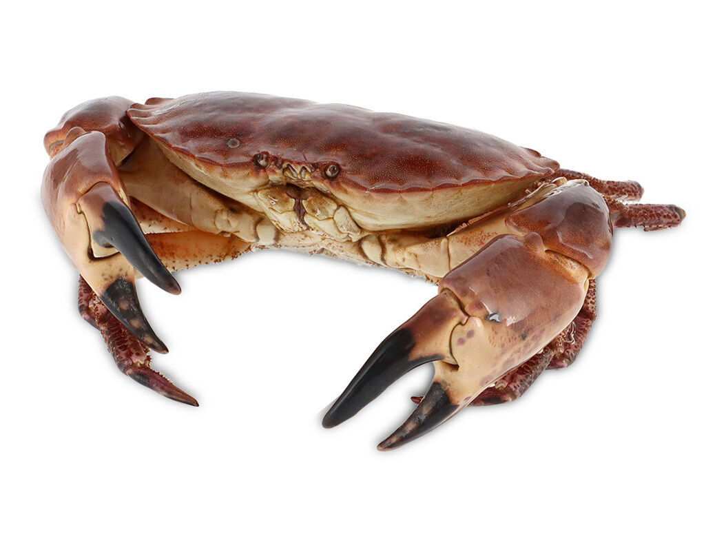 MACARRONETE NACIONAL MASSA COM VEGETAIS 500G image number 1