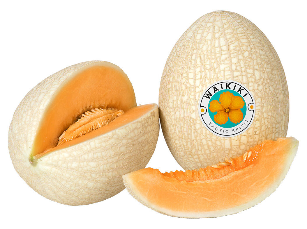 MEL&Atilde;O BRANCO WAIKIKI KG