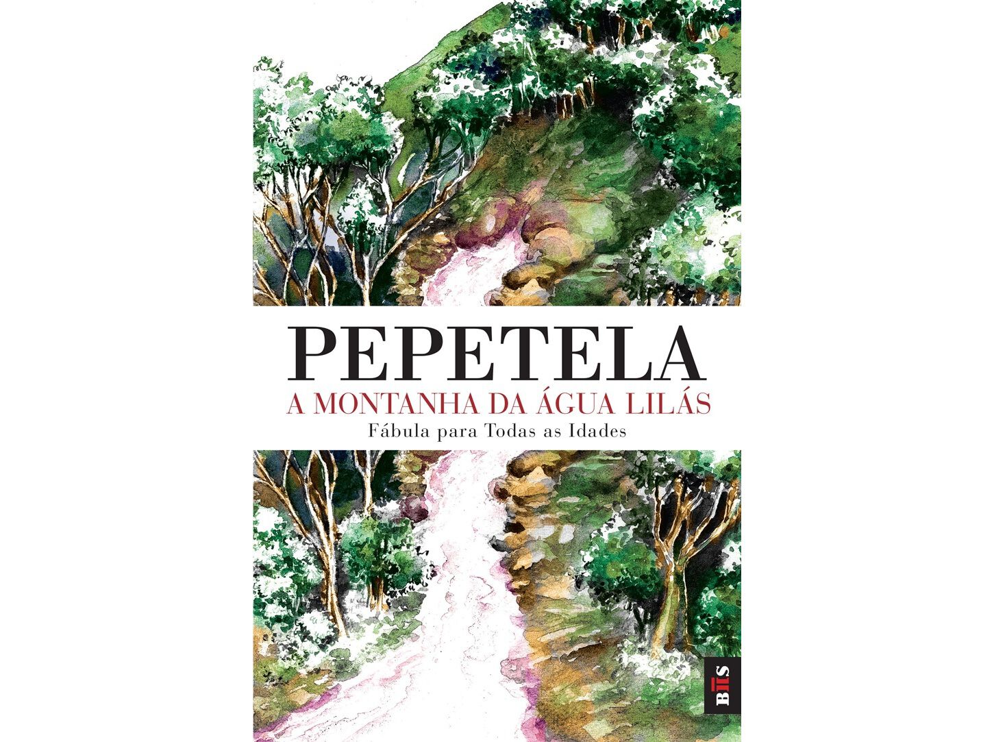 LIVRO A MONTANHA DA &Aacute;GUA LIL&Aacute;S image number 0