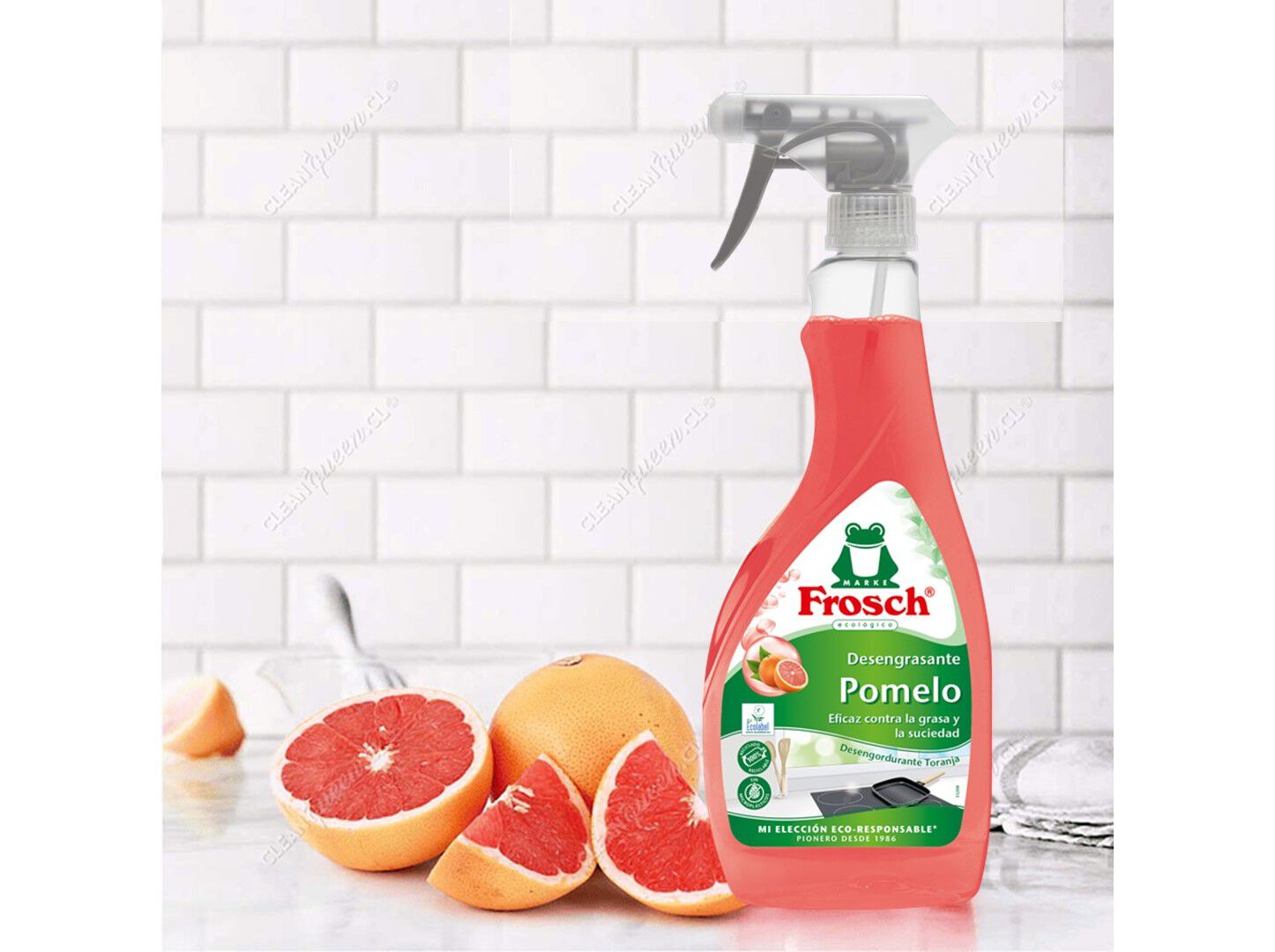 LIMPEZA COZINHA FROSCH DESENGORDURANTE TORANJA 500ML image number 3