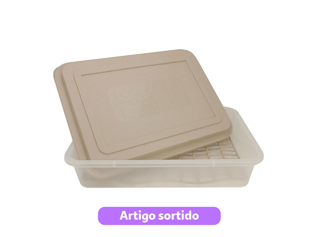 CAIXA COM TAMPA E REDE CODIL 32X23X7.6CM CORES SORTIDAS image number 0