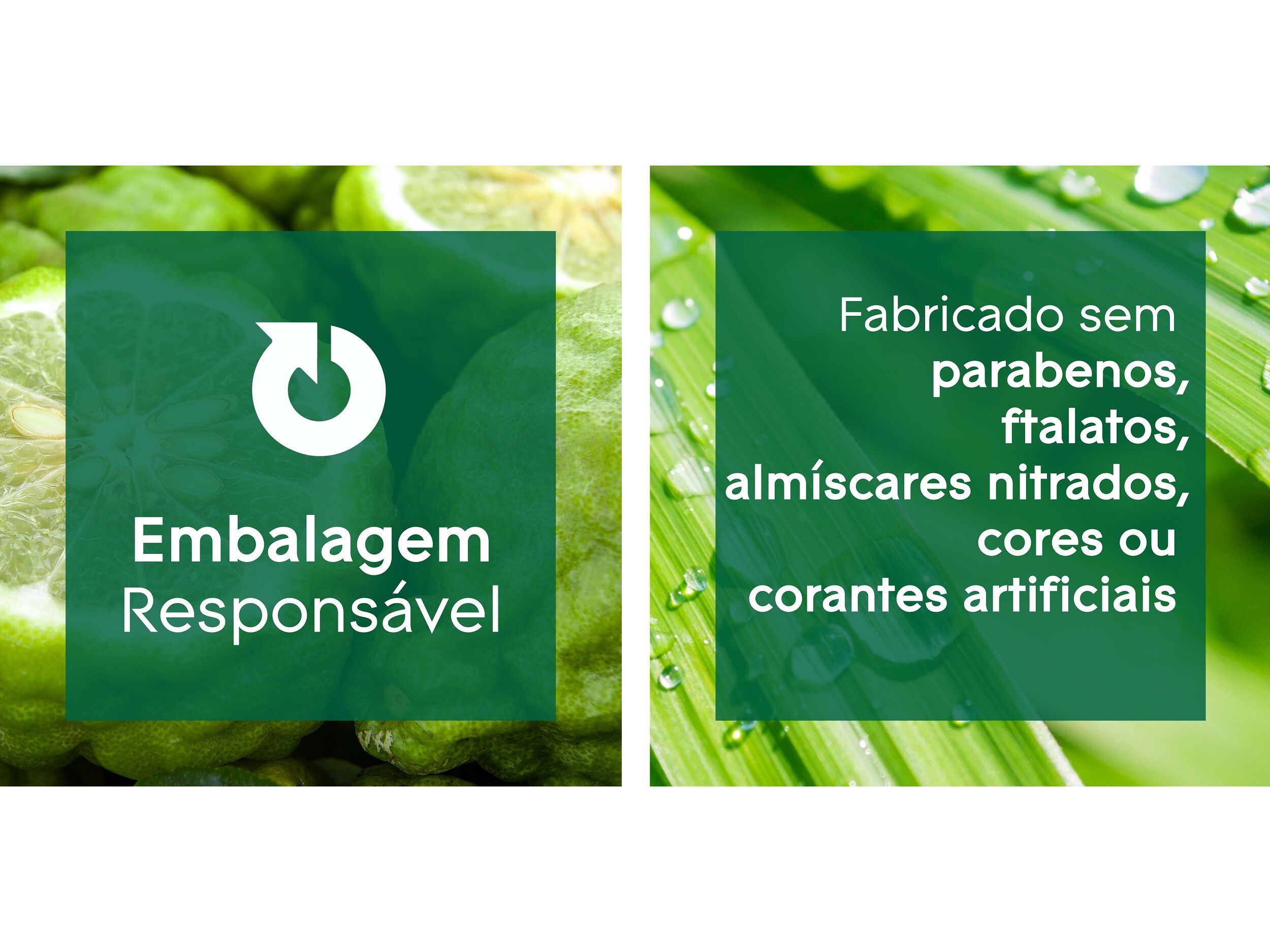 AMBIENTADOR RECARGA GLADE COOL MIST CALM MIND 17ML image number 5