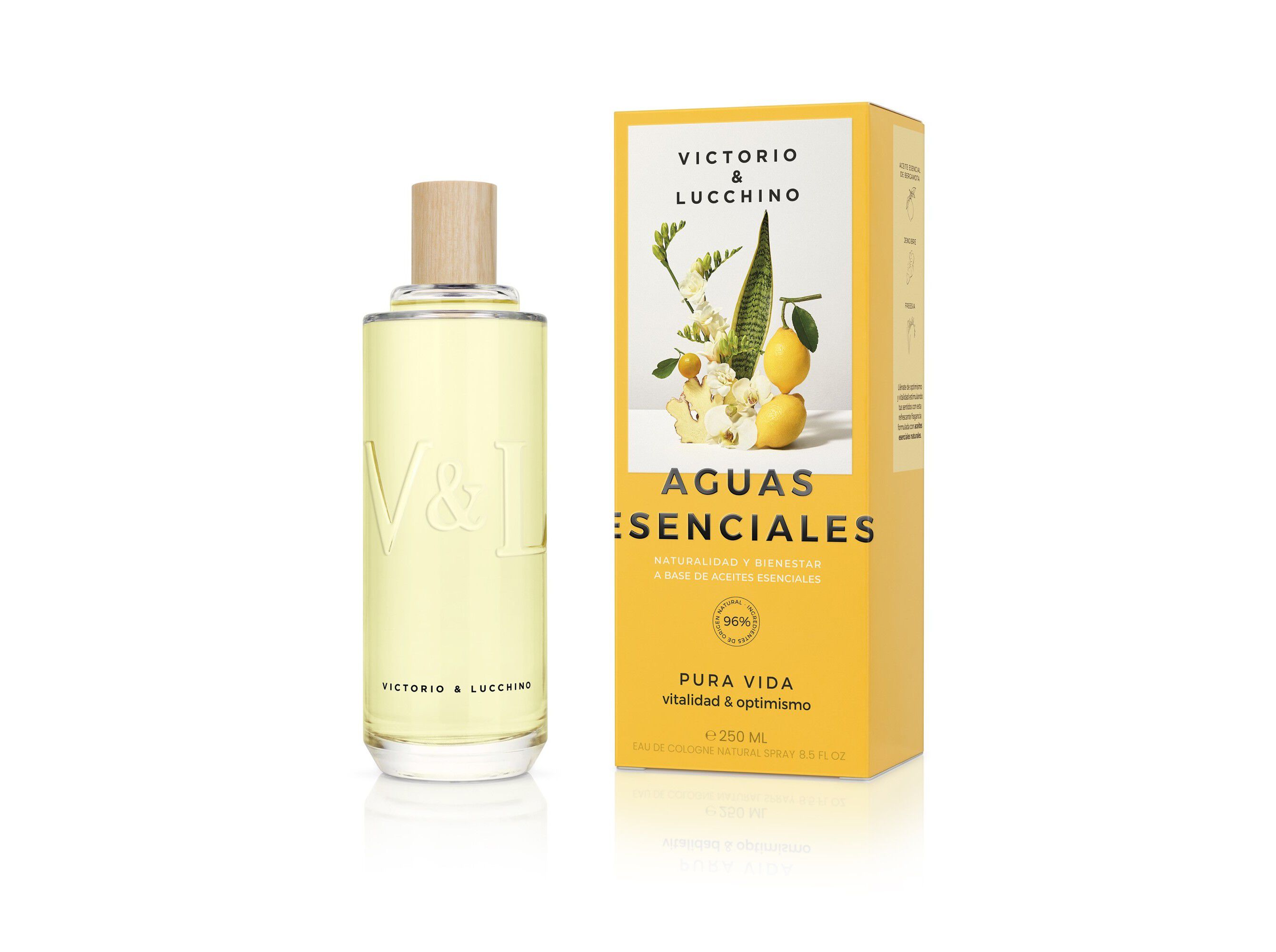 &Aacute;GUA COL&Oacute;NIA VICTORIO&LUCCHINO PURA VIDA 250 ML